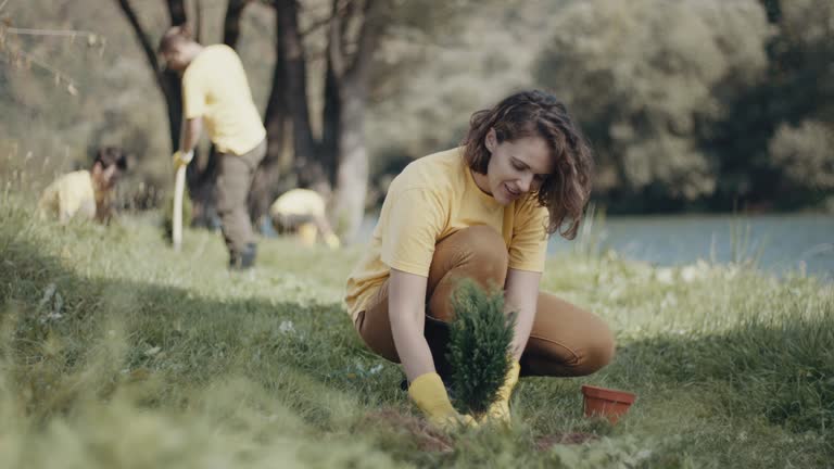 Best Organic Lawn Care Solutions  in Buffalo, TX